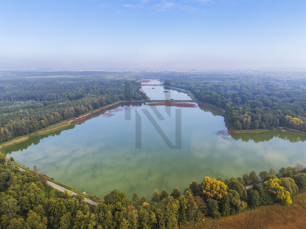 Dom Sprzedaż Bielawa Azaliowa