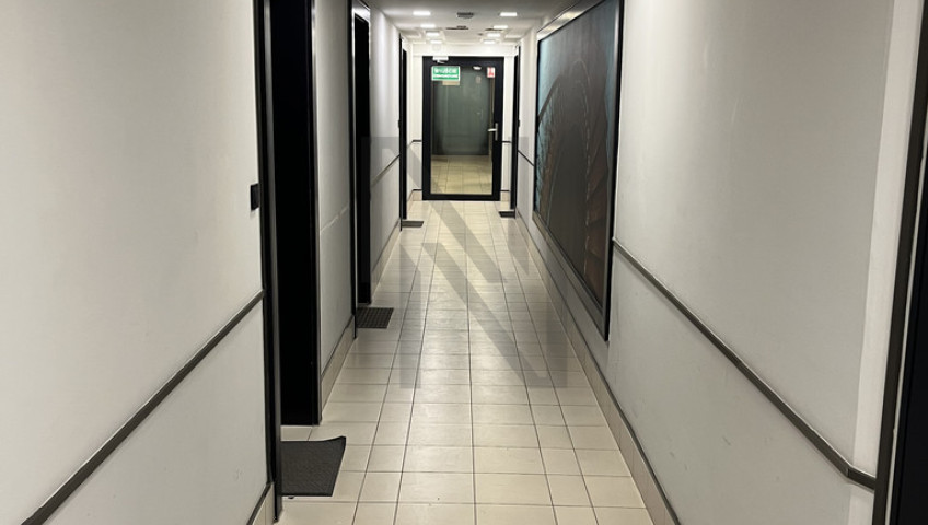 Mieszkanie Wynajem Wrocław Wrocław-Śródmieście Podwórcowa